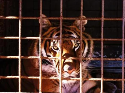 Sentiment provoqu par la vue de cette photo !