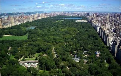 New York est plus actif que Paris, cela se voit car les vielles dames viennent au parc Monceau donner du pain aux oiseaux alors qu' Central Park, comment sont les vielles dames ?
