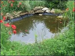 Le mot commence par : Sa ...