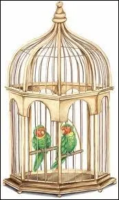 Le mot commence par : Sa ...