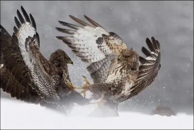 Si je vous dis  Hotel California , vous ne pouvez me rpondre que ce nom :