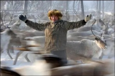 On coute surtout cette chanson, traduite de l'amricain, pour les ftes de Nol !