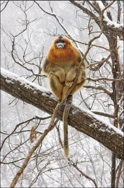 Titre de film ou chanson du groupe Indochine, mme si vous ne connaissez pas, la photo vous donne la rponse !