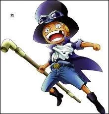 Qu'est il arriv  Sabo aprs s'tre fait bombarder par un dragon cleste ?