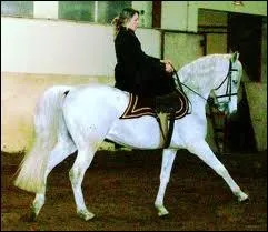 Quand on monte  cheval la priorit est  :