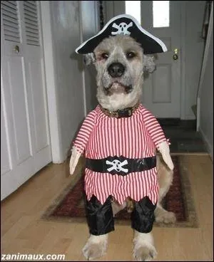 Johnny Depp y incarne le rle principal, le capitaine Jack Sparrow ...