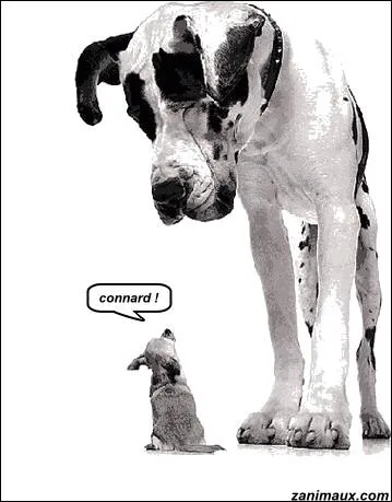 Film franais retraant le parcours de N. Sarkozy interprt par Denis Podalyds ...