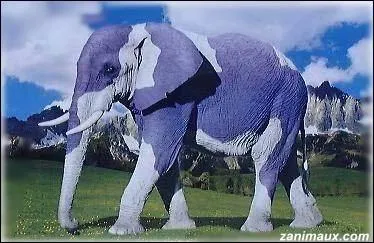 Comdie franaise de 1976 avec Jean Rochefort, Claude Brasseur, Guy Bedos et Victor Lanoux :