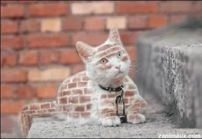 Film fantastique de 1933 qui relate l'exprience malheureuse d'un scientifique qui devient malintentionn ...