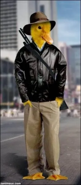 Film d'aventure amricain de Steven Spielberg (1981) avec Harrison Ford dans le rle principal ...