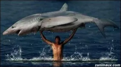 Film de Luc Besson avec des musiques de ric Serra ...