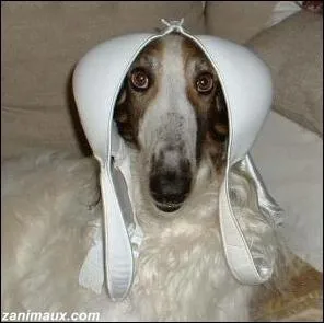 Comdie franaise de 1980 avec Louis de Funs, Jean Carmet et Jacques Villeret dans le rle d'un extra-terrestre ...