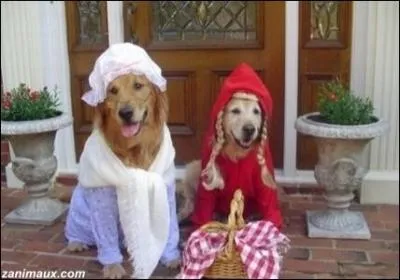 Thriller dramatique amricain inspir d'un clbre conte (2011) relatant une chasse aux loups-garous ...