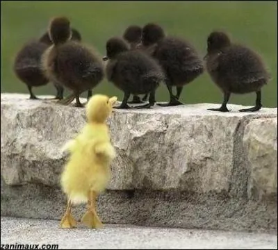 Un film d'animation russe (2010) qui relate un conte de Hans Christian Andersen ...