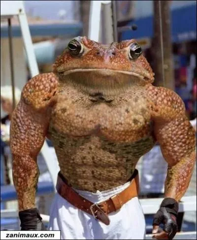 Un des premiers films avec Jean-Claude Van Damme (2000) qui relate la vengeance d'un lgionnaire pour son frre ...