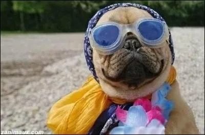 Un film oscaris de Ridley Scott (1991) qui relate la cavale de deux femmes ...