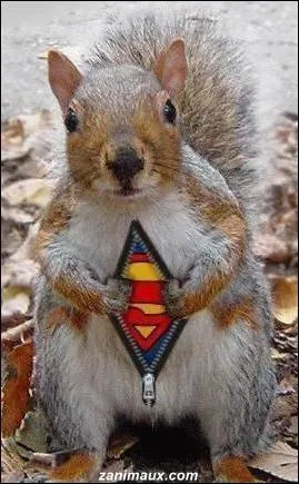 Un film relatant l'arrive sur la Terre d'un bb de Krypton ...