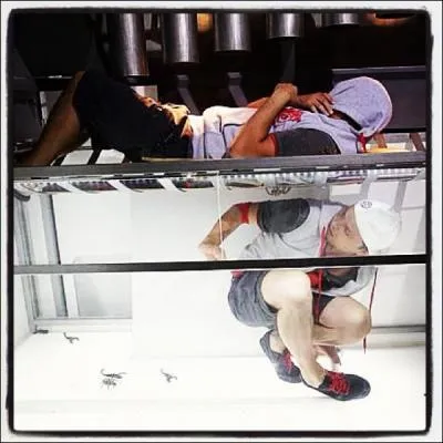 Quelle est la phobie de Majid ?