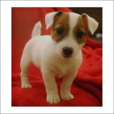 Alors, vous m'avez reconnu ?