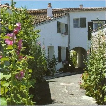 Quelle le de l'Atlantique dvoile le long de ses rues et ruelles fleuries, ces charmantes et pittoresques maisons blanches ?