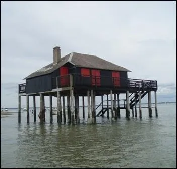 Ces cabanes en bois, perches sur pilotis appeles  Cabanes tchanques  sont typiques ... . .