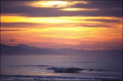 Qu'est-ce qui explique que l'ocan Atlantique ne soit presque pas sal en surface prs la cte quatoriale amricaine ?