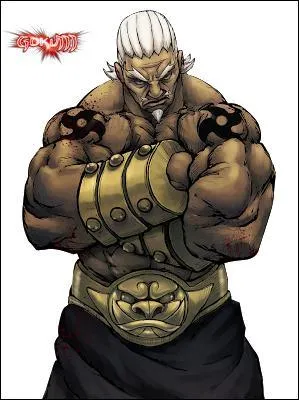 De quel village vient le Raigake ?