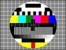 Le 17 dcembre 1989, quelle srie d'animation  succs fait son apparition  la tlvision ?