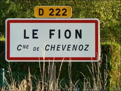 Qu'est-ce que le fion ?