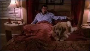 Comment s'appelle le chien guide d'aveugle de Carlos ?