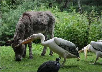 Quelques fois, nous devrions tous tourner sept fois notre langue dans notre bouche, a nous viterait de raconter des ...