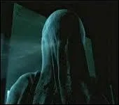 Dans Harry Potter 3, lorsque Harry se rveille de son coma suite  un attaque de Dtraqueurs, que dit-il avoir entendu ?