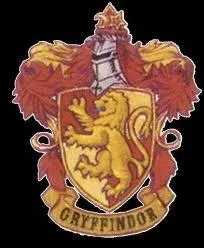 Qui est le professeur principal de la maison Gryffondor ?