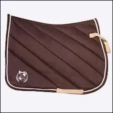 Pourquoi, met-on un tapis de selle ? �