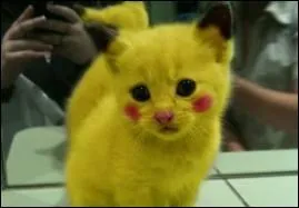 Tiens donc... il ne vous rappelle rien ?