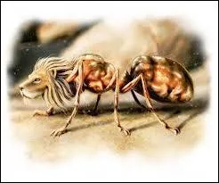 Ces animaux du bestiaire mdival on soit une tte d'homme, d'aigle ou de lion. Lequel de ces monstres a la tte du lion ?