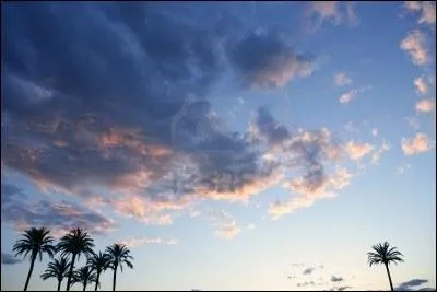 Qui chantait  C'est comme un soleil dans le gris du ciel  ?