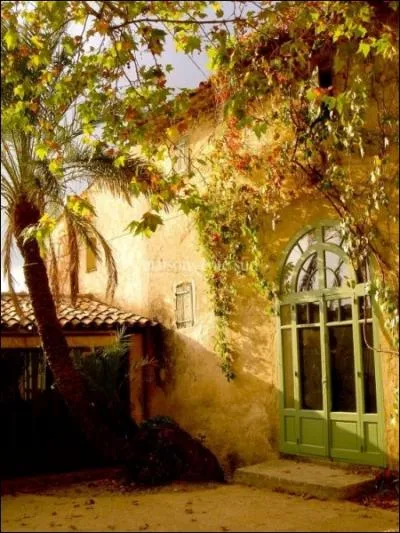 O Francis Cabrel voyait-il le soleil ?