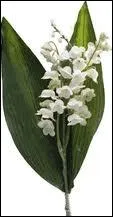 Quel roi de France lana la tradition d'offrir du muguet pour le  Ier Mai  ?