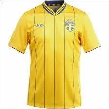 A quelle slection d'Europe appartient ce maillot de football ?