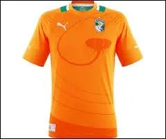 A quelle slection d'Afrique appartient ce maillot de football ?