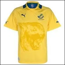 A quelle slection d'Afrique appartient ce maillot de football ?