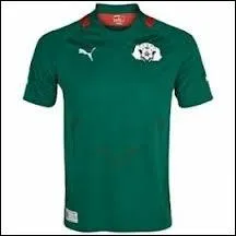 A quelle slection d'Afrique appartient ce maillot de football ?