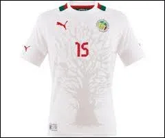 A quelle slection d'Afrique appartient ce maillot de football ?