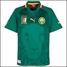 A quelle slection d'Afrique appartient ce maillot de football ?