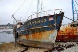 Quelle est la bonne orthographe de l'expression voulant dire :  courir  sa perte, pricliter  ?