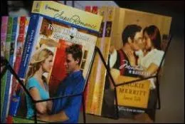 Un roman sentimental populaire est pjorativement appel un   roman  l'eau de ---- 