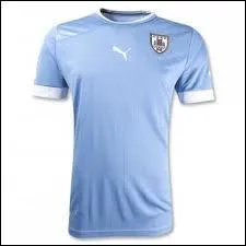 A quelle slection d'Amrique appartient ce maillot de football ?