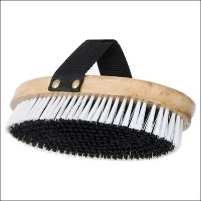 Quelle est cette brosse ?