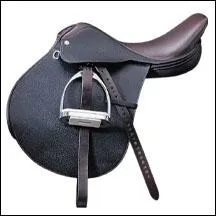 Quel est cet objet ?